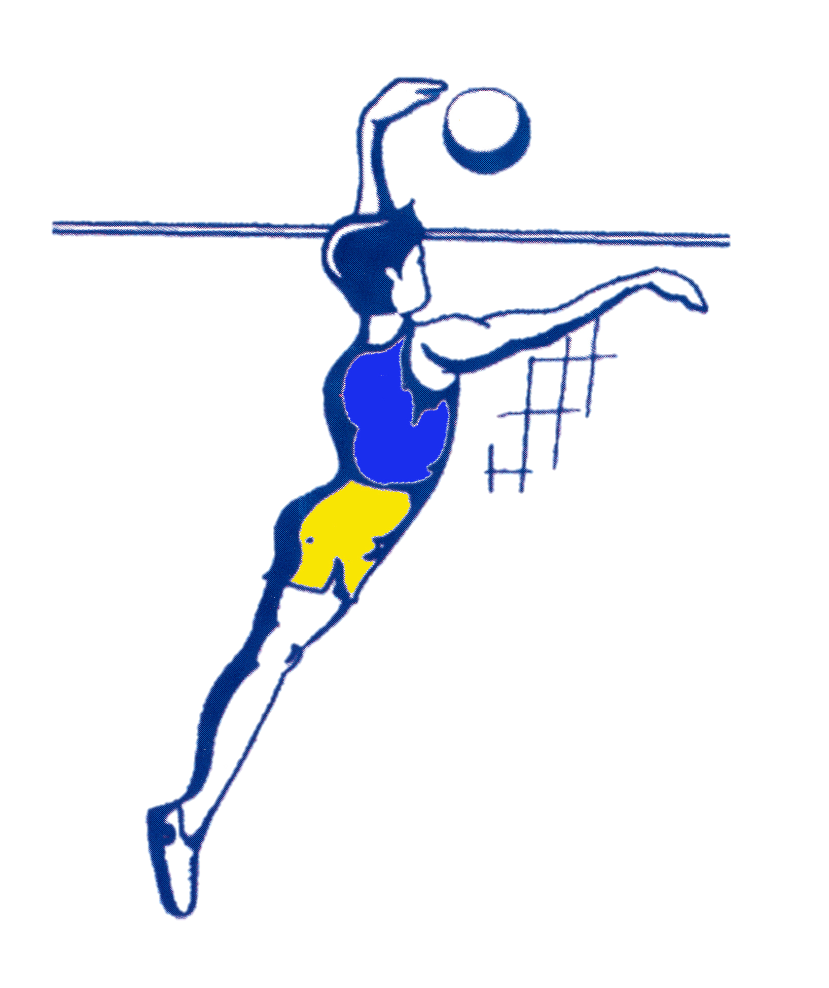 A.S.D. PALLAVOLO BELVEDERE