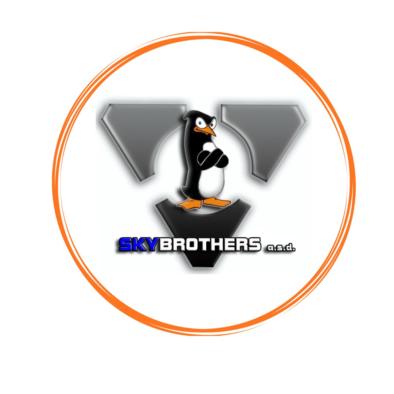 Skybrothers asd