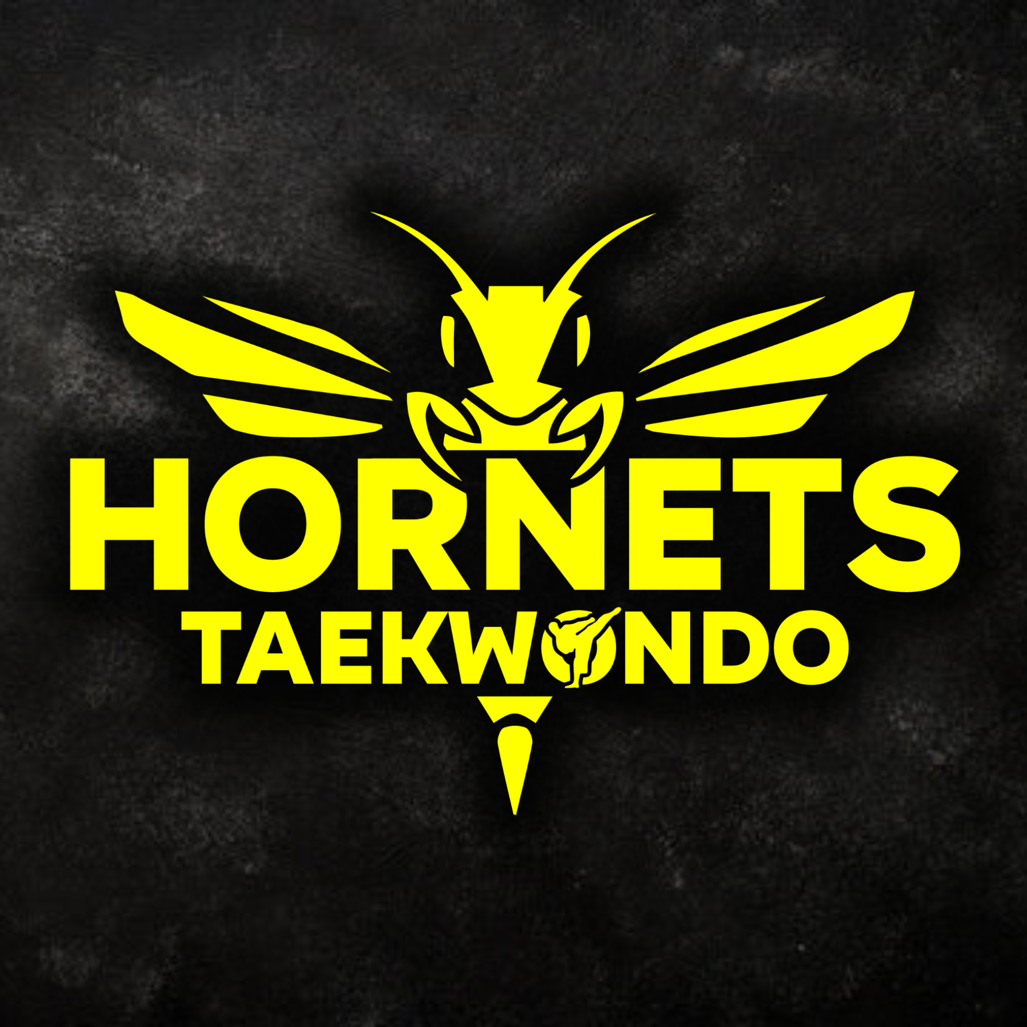 ASD Hornets Taekwondo