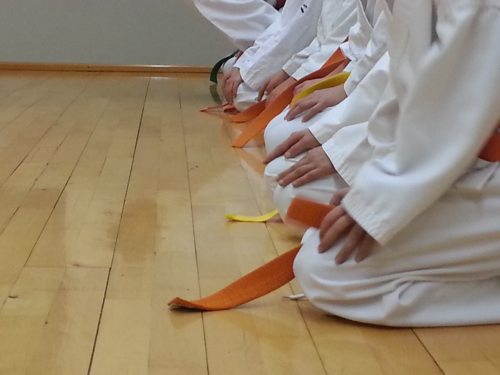 Corso di Karate avanzato
