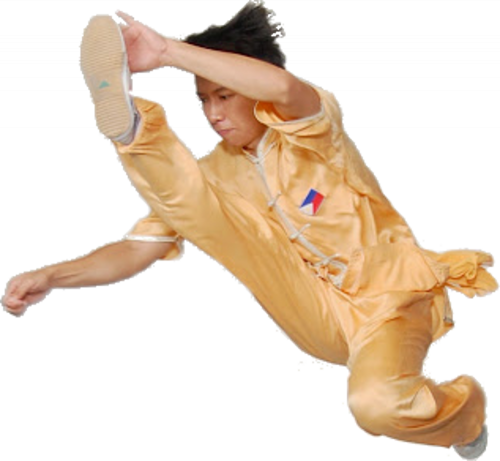 Kung Fu Acrobatico