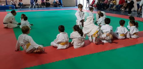 Corso di Judo integrato per bambini