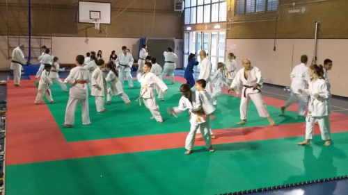 Corso Judo integrato  per ragazzi