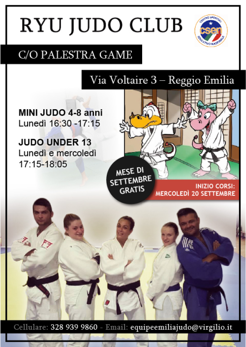 mini judo