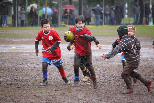Corso per Bambini Mini Rugby