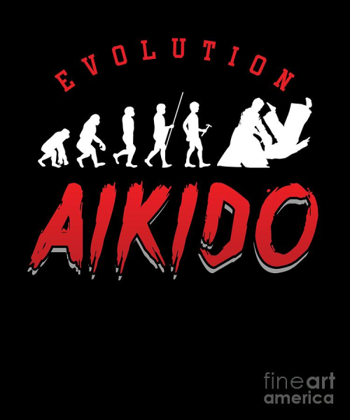 Aikido Evolution
