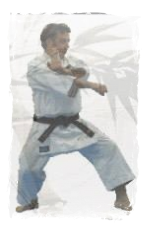Karate Adulti