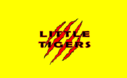 Little Tigers 4-9 Anni FIDENZA