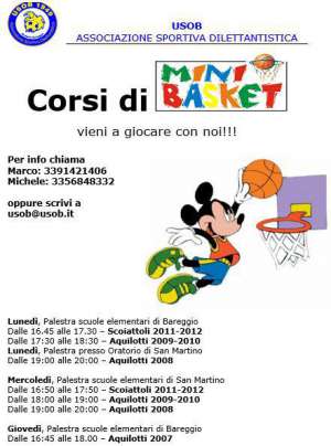 Mini Basket Bareggio